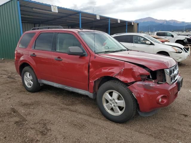 2010 Ford Escape XLT