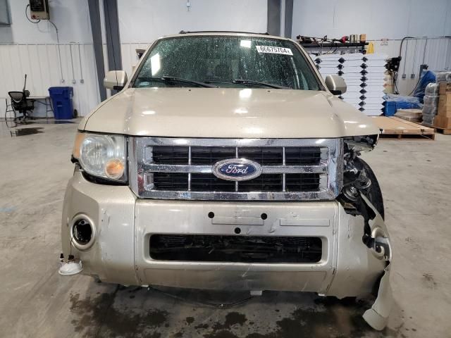 2011 Ford Escape Limited