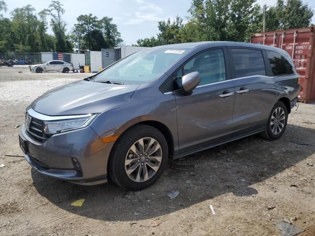 2024 Honda Odyssey EXL