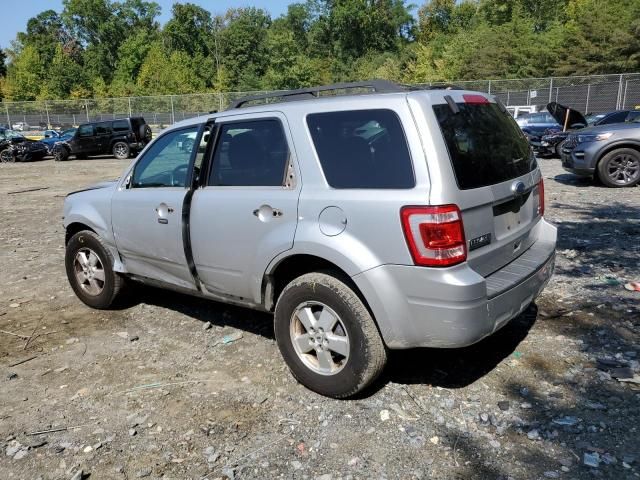 2010 Ford Escape XLT