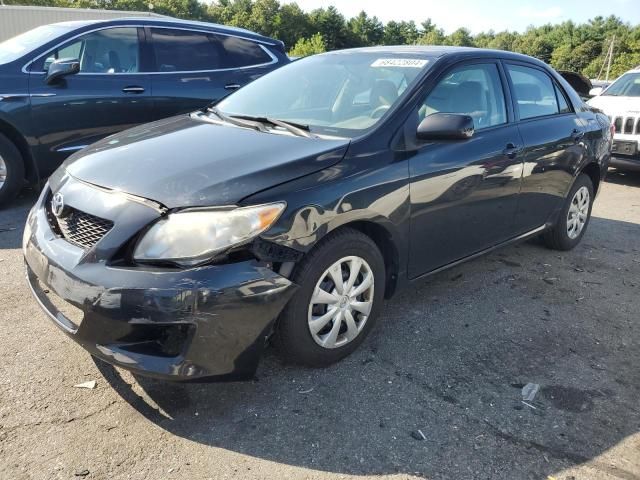 2010 Toyota Corolla Base