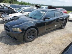 Dodge salvage cars for sale: 2013 Dodge Charger Police