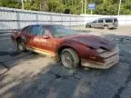 1985 Pontiac Firebird Trans AM