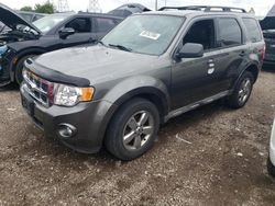 Ford salvage cars for sale: 2009 Ford Escape XLT