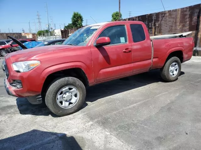 2023 Toyota Tacoma Access Cab