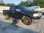 2005 Ford F150