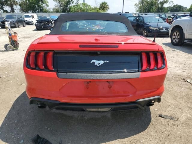 2019 Ford Mustang