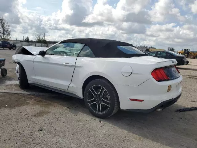 2019 Ford Mustang