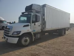 Salvage trucks for sale at Des Moines, IA auction: 2014 Hino 258 268