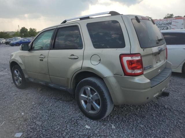 2011 Ford Escape Limited