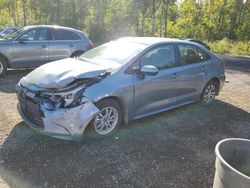 Toyota salvage cars for sale: 2024 Toyota Corolla LE