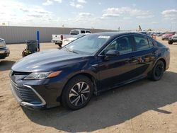 Toyota salvage cars for sale: 2021 Toyota Camry LE