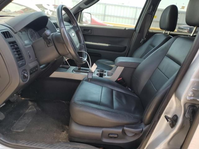 2009 Ford Escape XLT