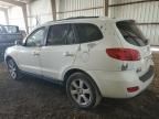 2009 Hyundai Santa FE SE