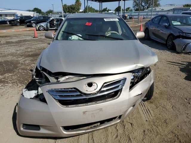 2009 Toyota Camry Hybrid