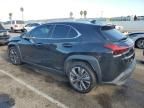 2020 Lexus UX 250H