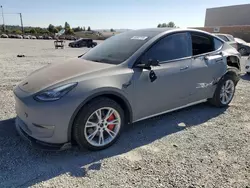 2023 Tesla Model Y en venta en Mentone, CA