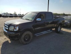 Toyota Tundra salvage cars for sale: 2006 Toyota Tundra Double Cab SR5