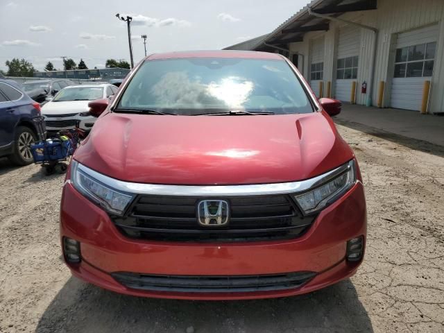 2024 Honda Odyssey EXL