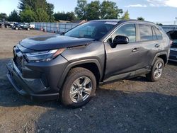 Toyota rav4 le Vehiculos salvage en venta: 2024 Toyota Rav4 LE