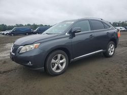 Lexus salvage cars for sale: 2010 Lexus RX 350