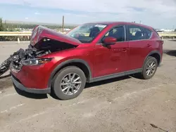 Salvage cars for sale at Albuquerque, NM auction: 2023 Mazda CX-5