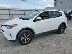 Salvage cars for sale from Copart Jacksonville, FL: 2017 Toyota Rav4 XLE