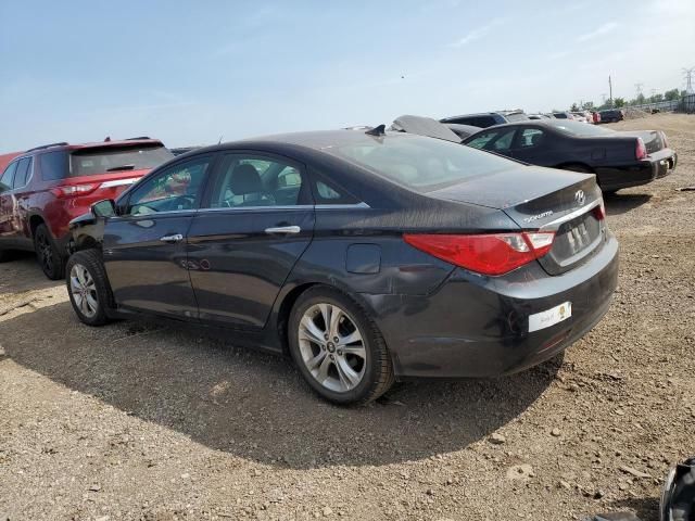 2011 Hyundai Sonata SE