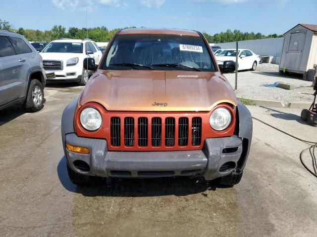 2002 Jeep Liberty Sport