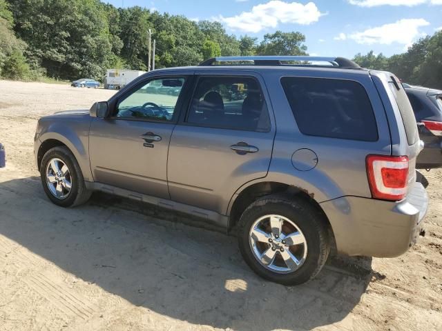 2010 Ford Escape Limited