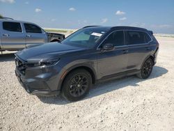 Salvage cars for sale at Taylor, TX auction: 2024 Honda CR-V Sport