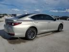 2024 Lexus ES 300H Base