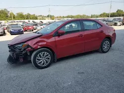 Salvage cars for sale at Lawrenceburg, KY auction: 2019 Toyota Corolla L