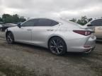 2020 Lexus ES 350 F Sport