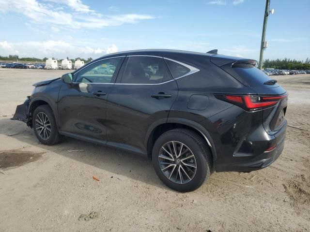 2024 Lexus NX 250 Premium