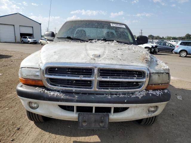 2004 Dodge Dakota Sport