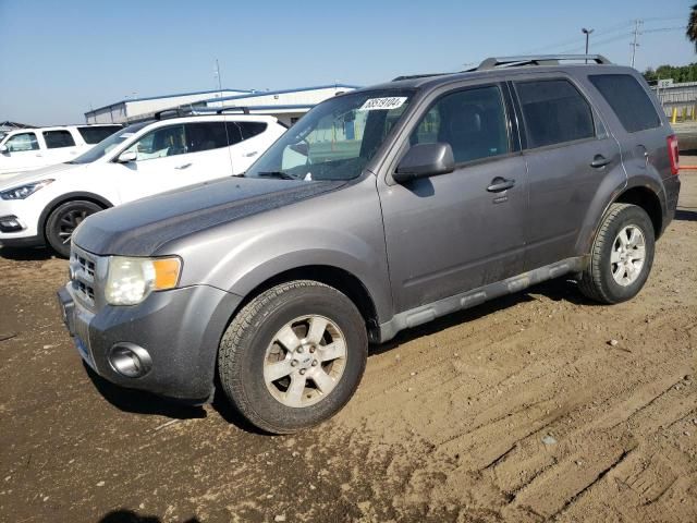 2010 Ford Escape Limited