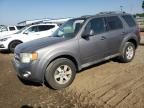 2010 Ford Escape Limited