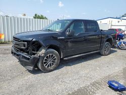 Salvage cars for sale at Albany, NY auction: 2019 Ford F150 Supercrew