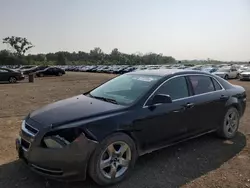 Salvage cars for sale at Des Moines, IA auction: 2010 Chevrolet Malibu 1LT