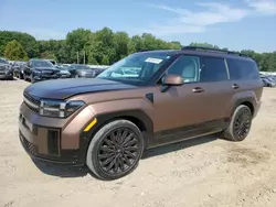 Salvage cars for sale at Conway, AR auction: 2024 Hyundai Santa FE Calligraphy