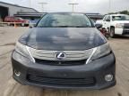 2010 Lexus HS 250H