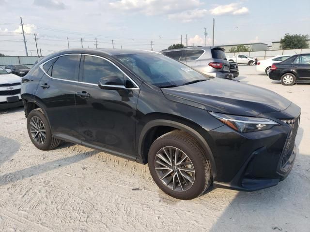 2024 Lexus NX 350 Premium