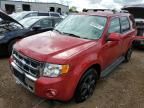 2010 Ford Escape Limited