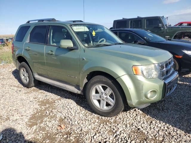 2008 Ford Escape HEV