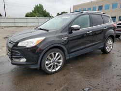 Salvage cars for sale at Littleton, CO auction: 2016 Ford Escape SE