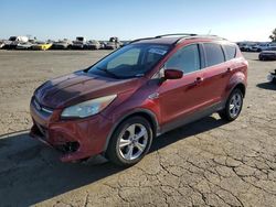 Ford salvage cars for sale: 2014 Ford Escape SE