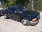 2004 Dodge Dakota Quad SLT