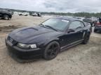 2000 Ford Mustang