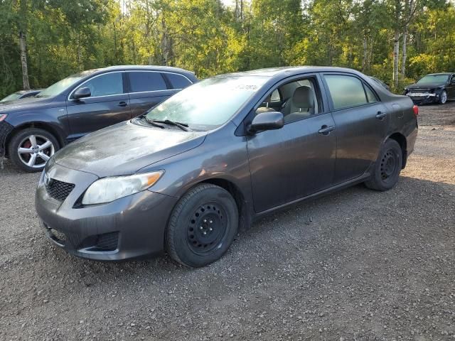 2009 Toyota Corolla Base